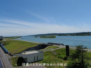 7 信濃川と大河津分水の分岐点
