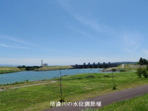 8 信濃川水位調節堰